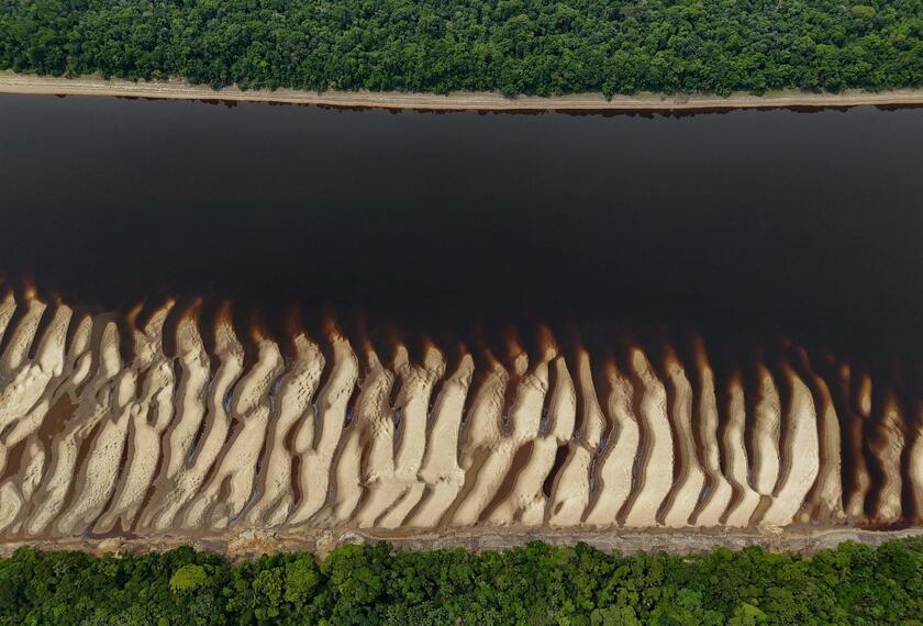 Siccita' colpisce l'Amazzonia