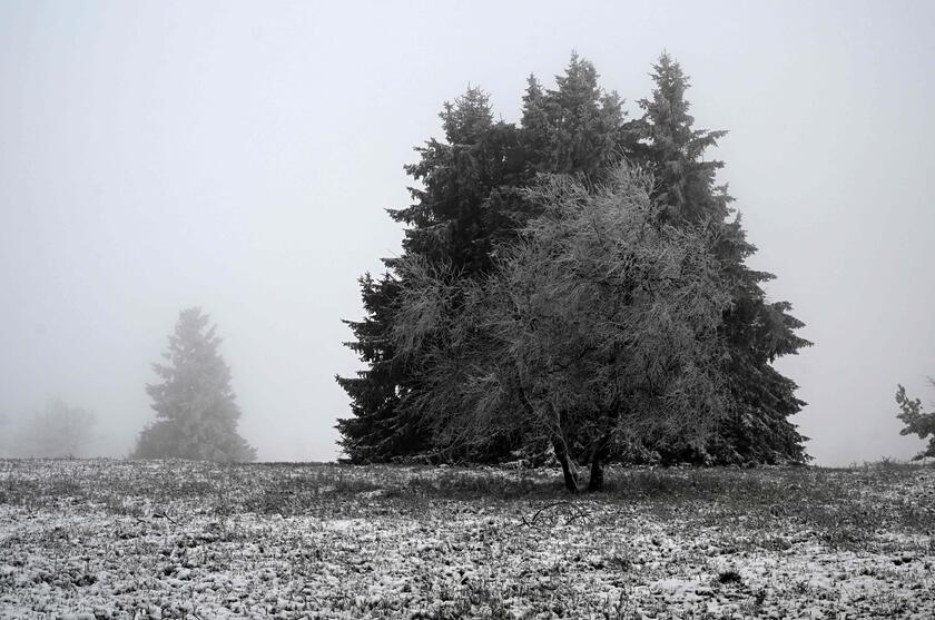 Germania: la neve disegna i paesaggi