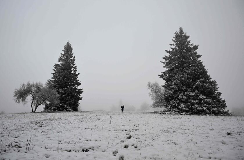 Germania: la neve disegna i paesaggi