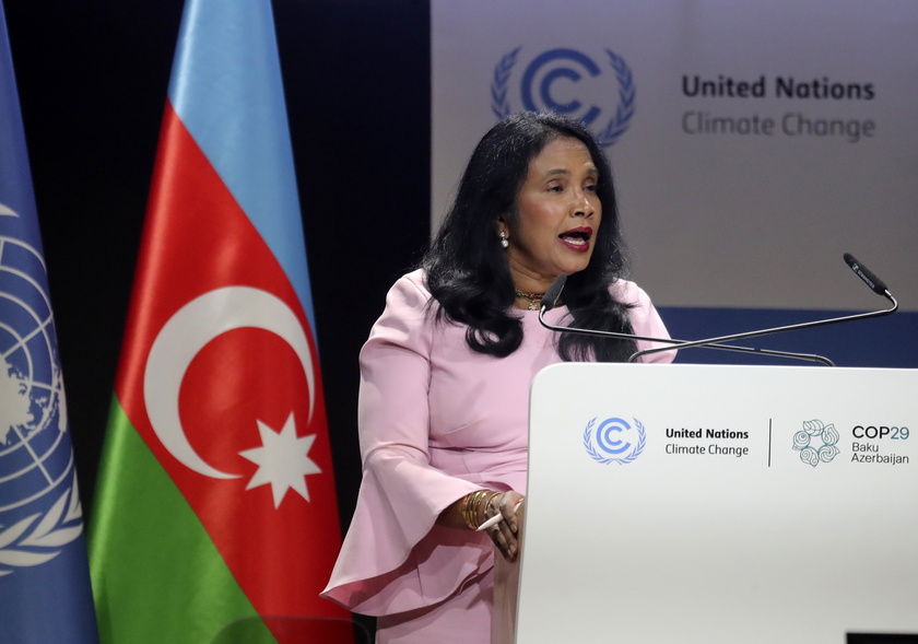 UN Climate Change Conference COP29