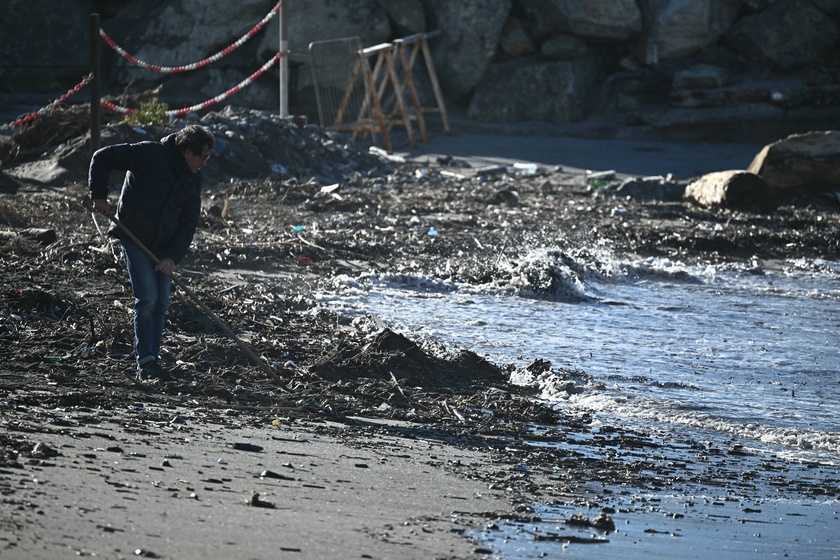 Alberi e rami spezzati dal vento in Liguria