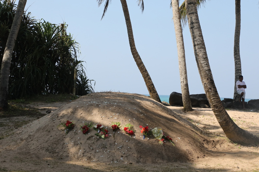 Commemoration of the 20th anniversary of the Indian Ocean Tsunami