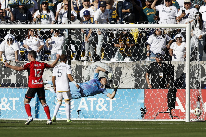 MLS Cup Final - LA Galaxy vs. New York Red Bulls 