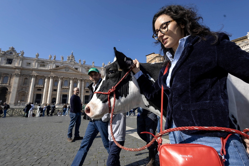 Pope greets farmers in St. Peter 's Square - RIPRODUZIONE RISERVATA