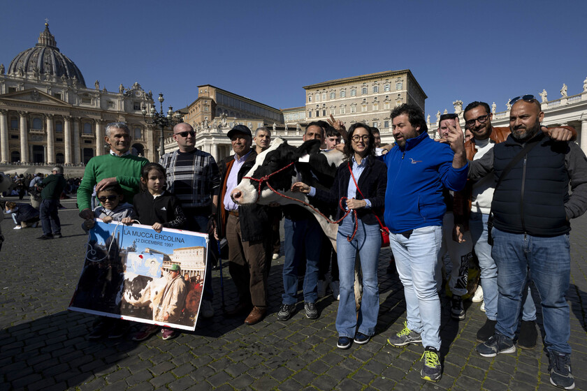 ++ Il Papa saluta gli agricoltori presenti a San Pietro ++ - RIPRODUZIONE RISERVATA