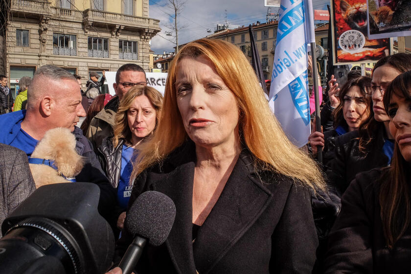 Manifestazione animalista a Milano