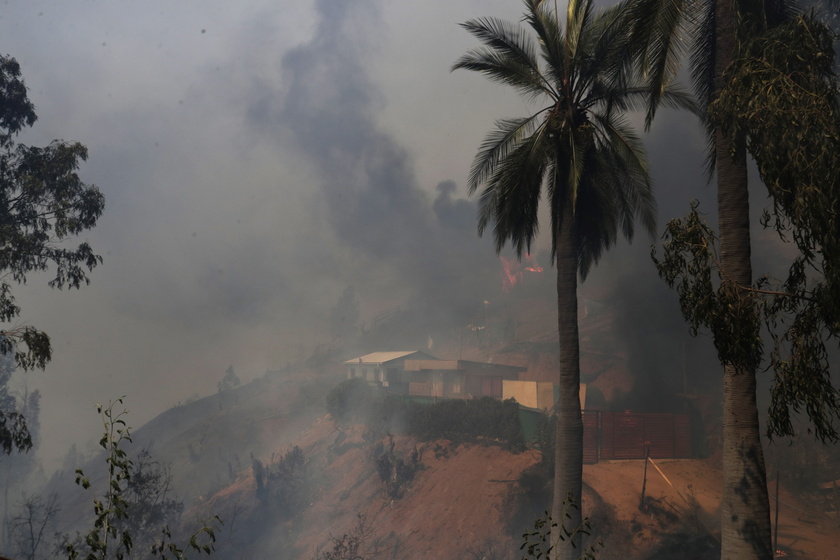 Forest fires in Chile 's Vina del Mar region - RIPRODUZIONE RISERVATA