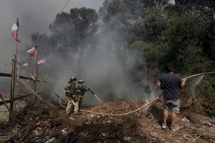 Forest fires in Chile 's Vina del Mar region - RIPRODUZIONE RISERVATA