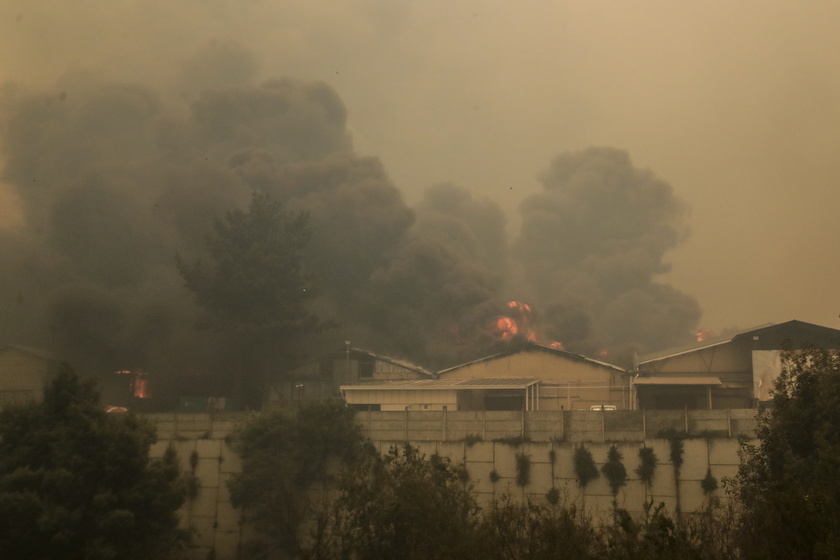 Forest fires in Chile 's Vina del Mar region - RIPRODUZIONE RISERVATA