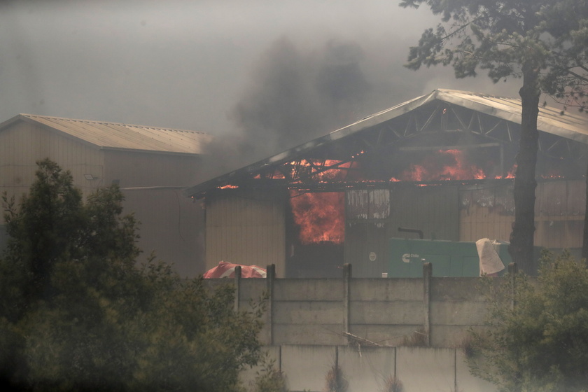 Forest fires in Chile 's Vina del Mar region - RIPRODUZIONE RISERVATA