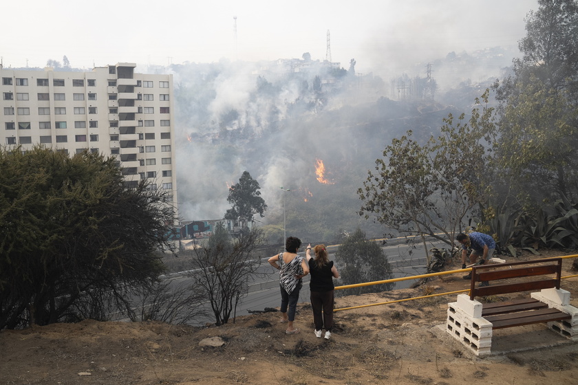 Forest fires in Chile 's Vina del Mar region - RIPRODUZIONE RISERVATA