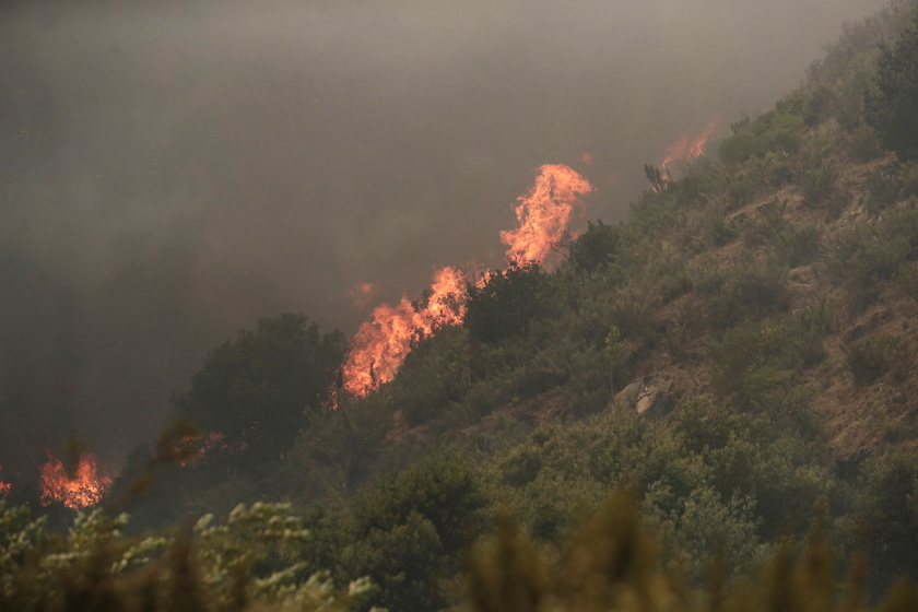 Forest fires in Chile 's Vina del Mar region - RIPRODUZIONE RISERVATA