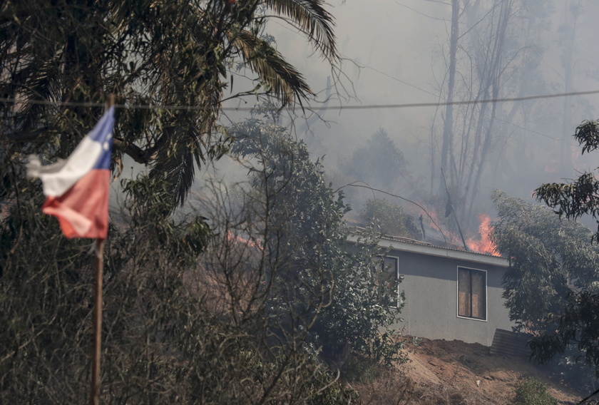 Forest fires in Chile 's Vina del Mar region - RIPRODUZIONE RISERVATA