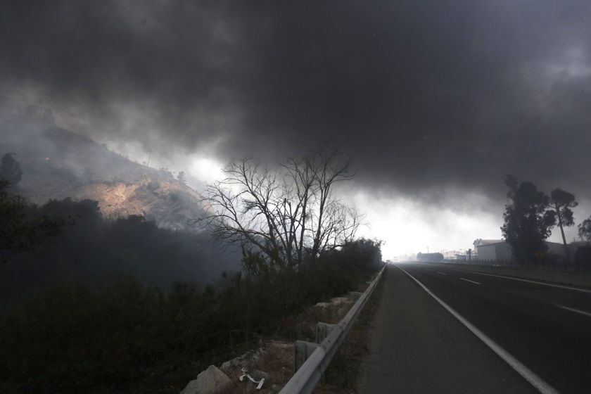 Forest fires in Chile 's Vina del Mar region - RIPRODUZIONE RISERVATA