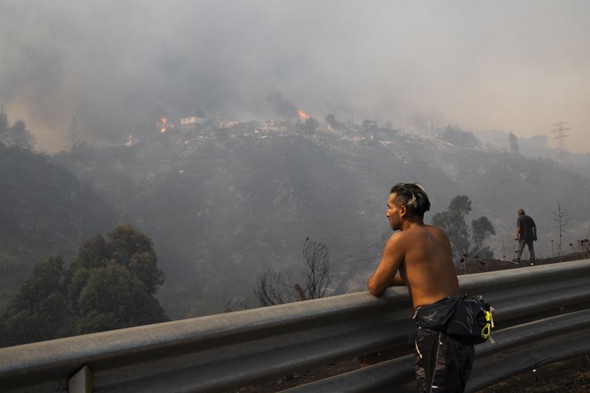 Forest fires in Chile 's Vina del Mar region - RIPRODUZIONE RISERVATA