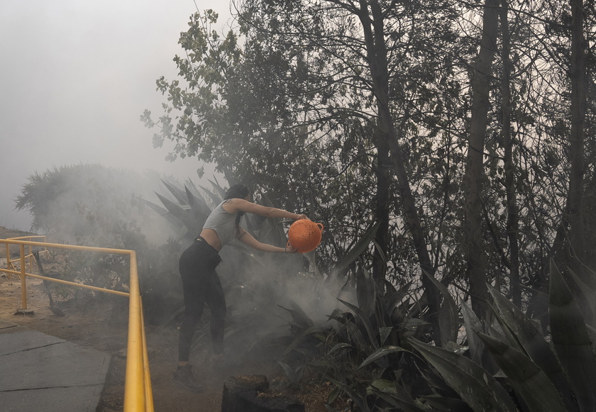 Forest fires in Chile 's Vina del Mar region - RIPRODUZIONE RISERVATA