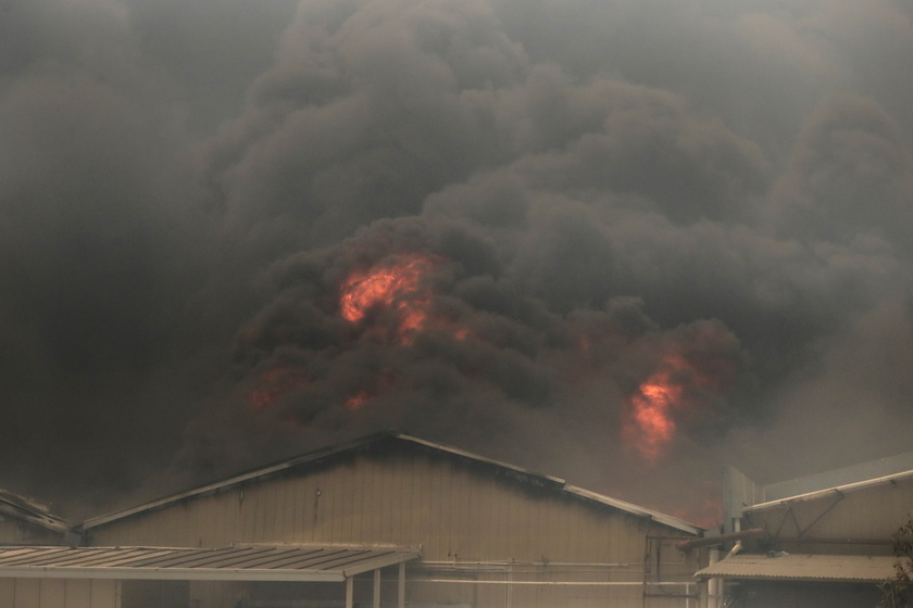 Forest fires in Chile 's Vina del Mar region - RIPRODUZIONE RISERVATA