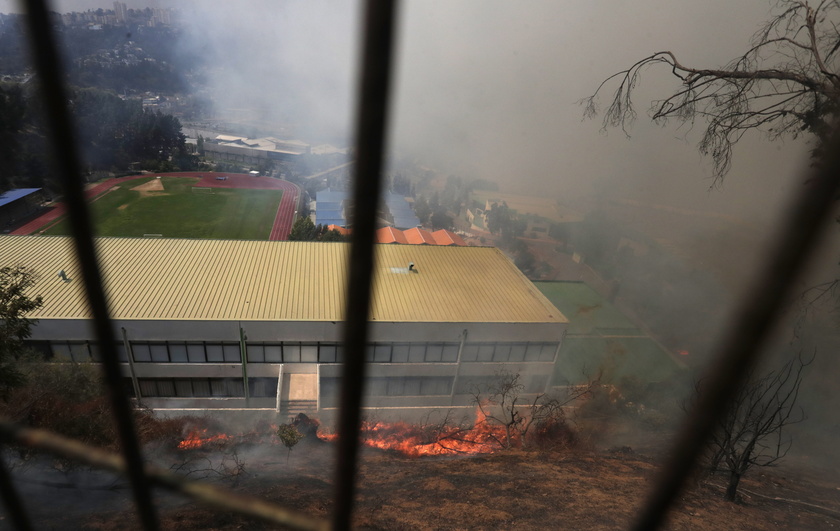 Forest fires in Chile 's Vina del Mar region - RIPRODUZIONE RISERVATA