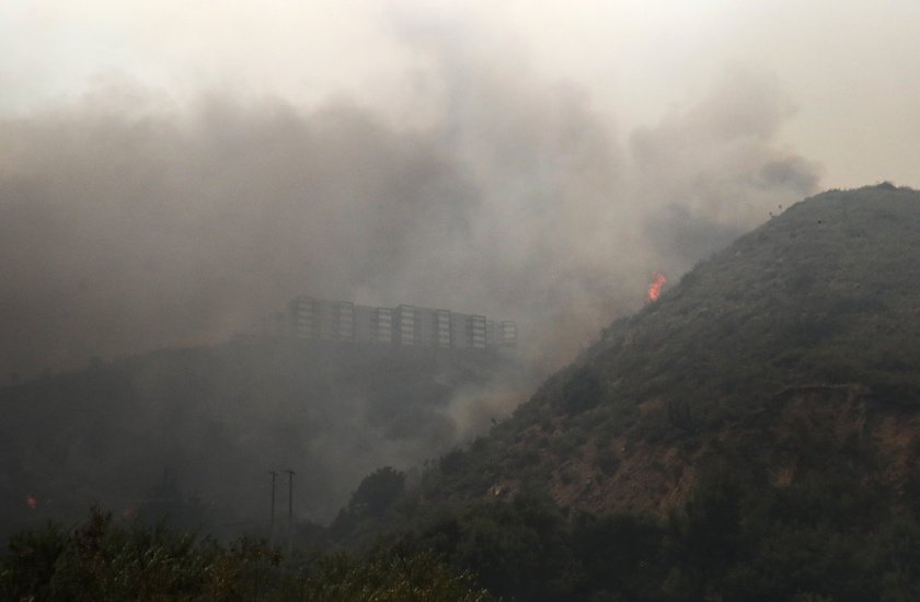 Forest fires in Chile 's Vina del Mar region - RIPRODUZIONE RISERVATA