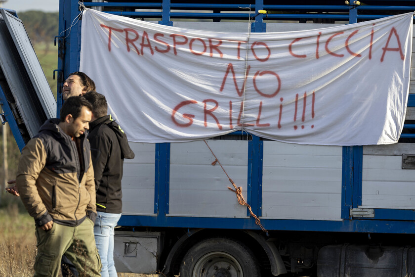 Protesta trattori a Roma - RIPRODUZIONE RISERVATA