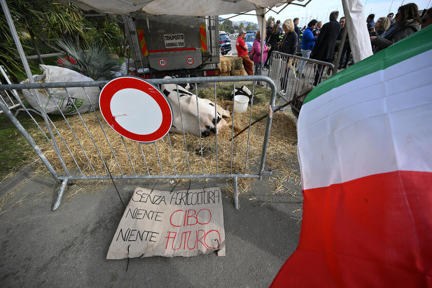 Sanremo, trattori in marcia verso il centro - RIPRODUZIONE RISERVATA