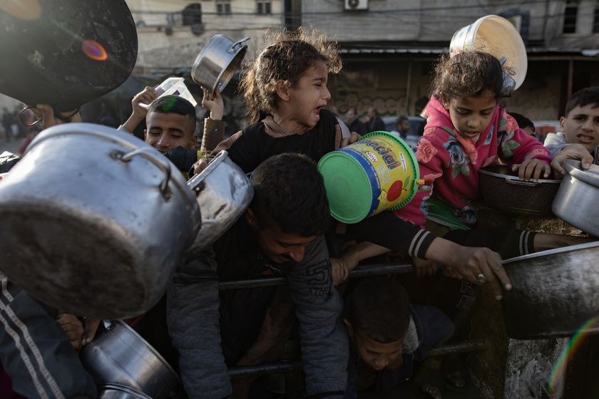 Internally displaced Palestinians gather to collect food aid in Rafah - RIPRODUZIONE RISERVATA