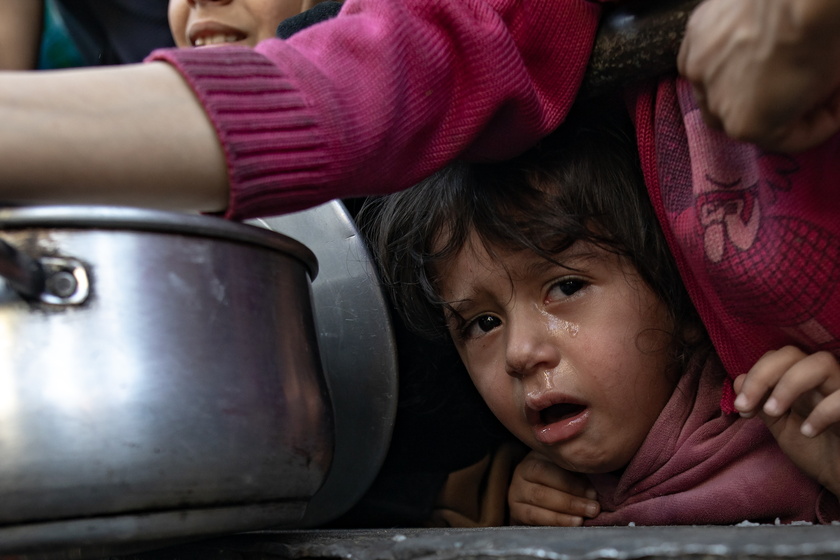 Internally displaced Palestinians gather to collect food aid in Rafah - RIPRODUZIONE RISERVATA