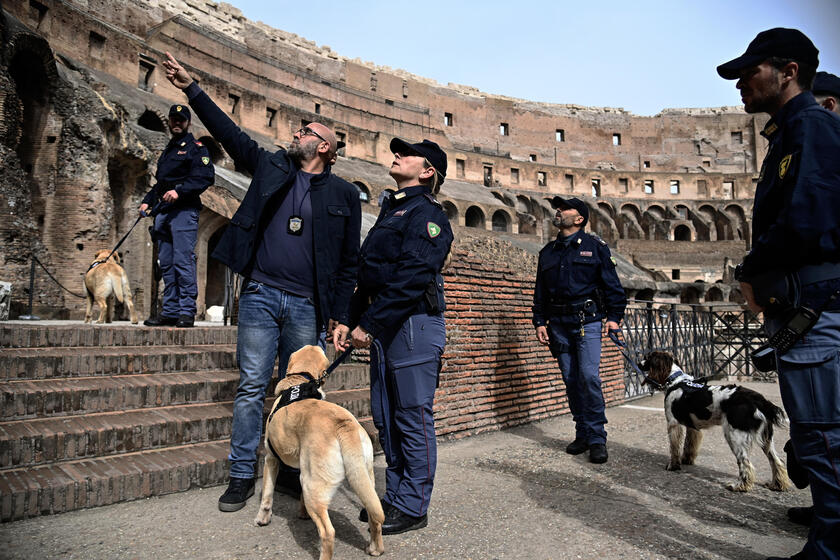 Clean-up operations with police dogs before Via Crucis - RIPRODUZIONE RISERVATA