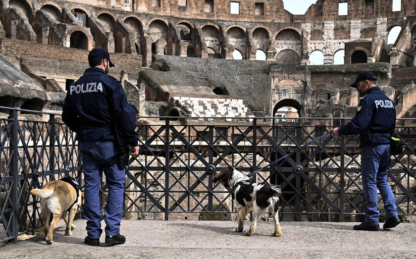 Clean-up operations with police dogs before Via Crucis - RIPRODUZIONE RISERVATA