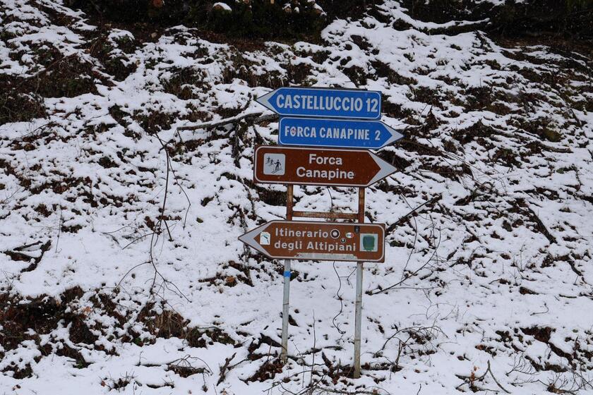 Nevica sull 'Appennino umbro-marchigiano - RIPRODUZIONE RISERVATA