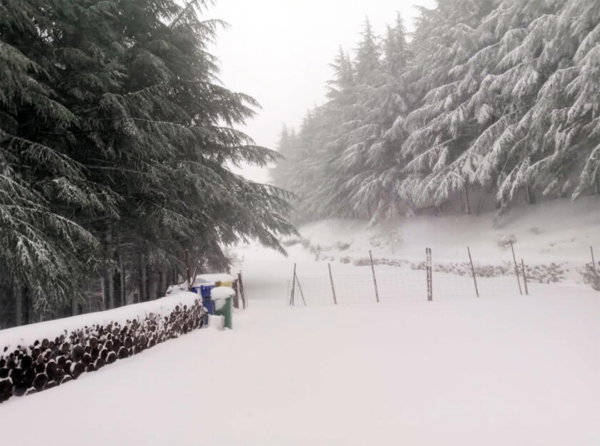 Torna la neve in Sardegna, fiocchi bianchi a meno di 1000 metri - RIPRODUZIONE RISERVATA