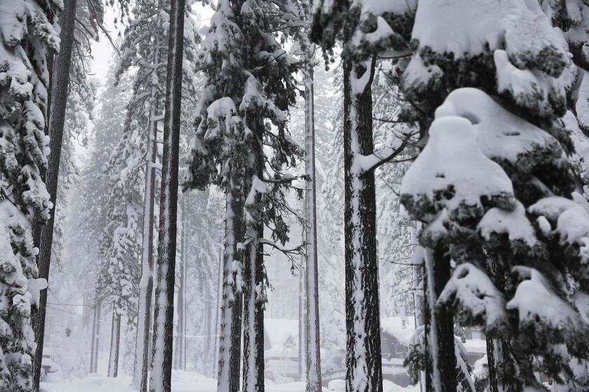 California e Nevada colpiti da una maxi bufera di neve © ANSA/Getty Images via AFP