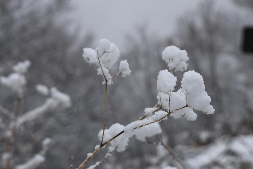 Nevica sull 'Appennino umbro-marchigiano - RIPRODUZIONE RISERVATA