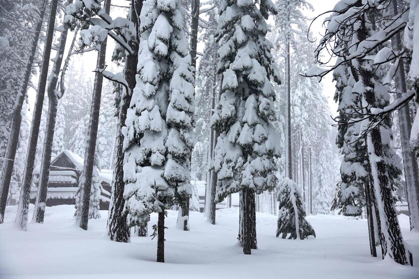 California e Nevada colpiti da una maxi bufera di neve © ANSA/Getty Images via AFP