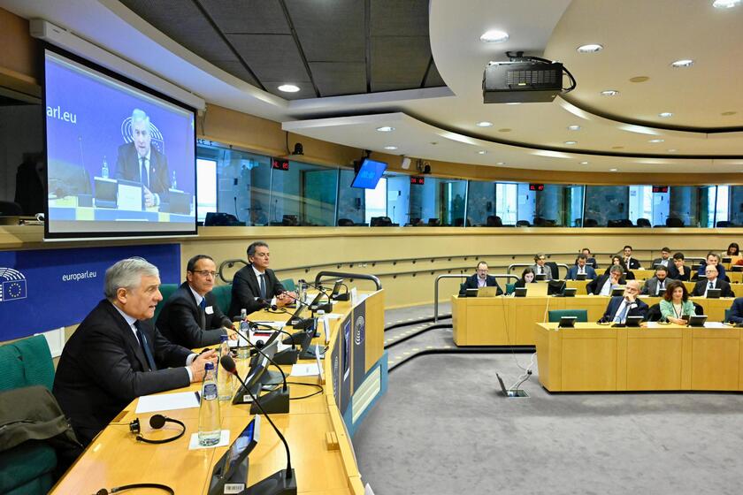 Tajani,  'il voto alle Europee non sia condizionato da fake news ' - RIPRODUZIONE RISERVATA