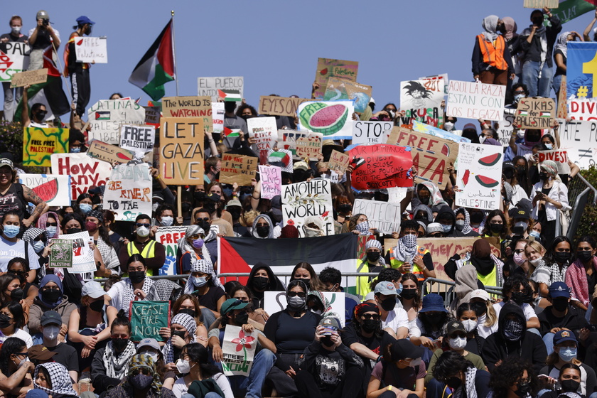 Pro-Palestine Encampment at UCLA