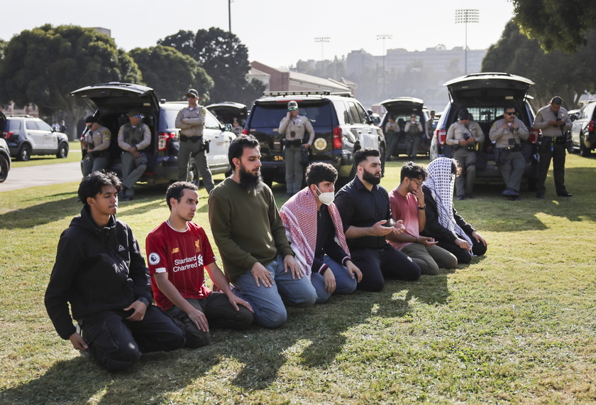 Pro-Palestine protest encampment at UCLA