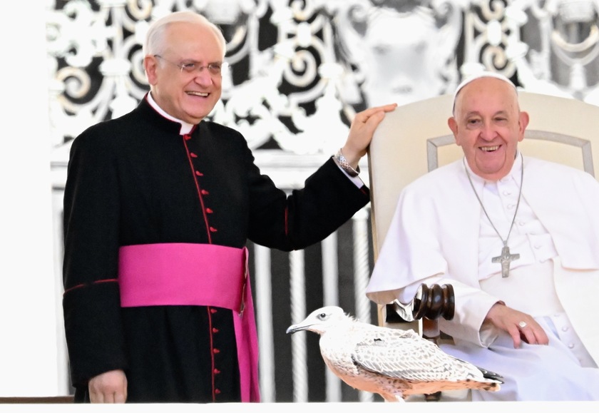 Udienza generale di Papa Francesco in Vaticano