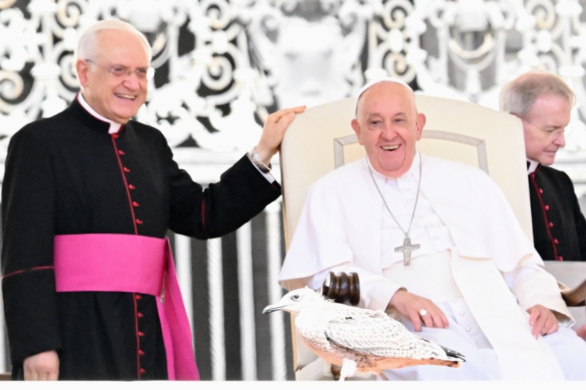 Udienza generale di Papa Francesco in Vaticano