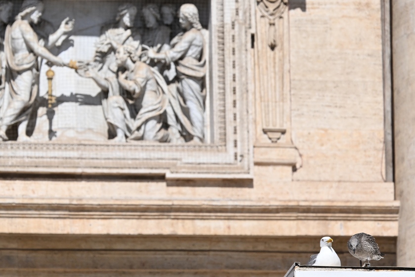 Udienza generale di Papa Francesco in Vaticano