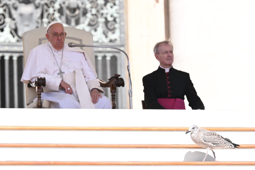 Udienza generale di Papa Francesco in Vaticano