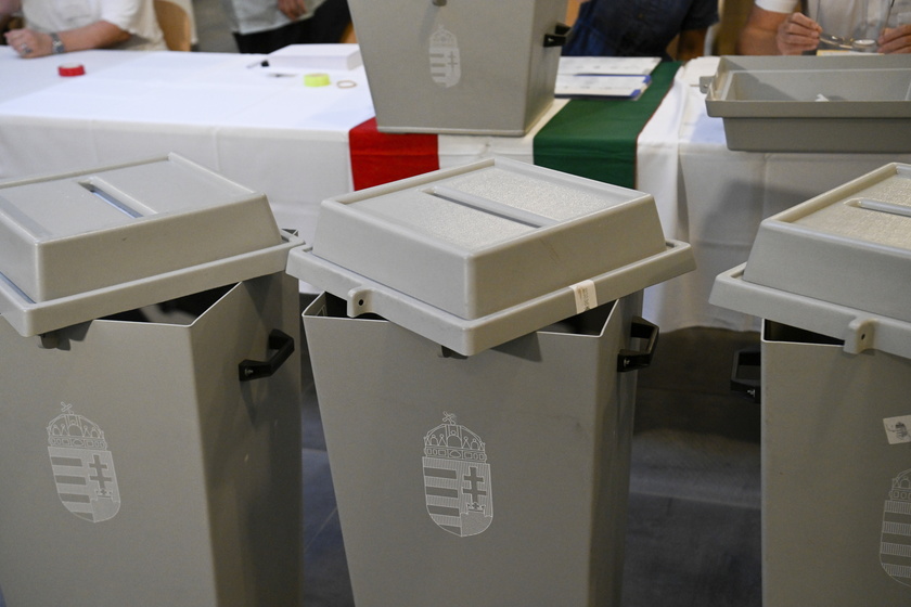 Hungary votes in European Elections