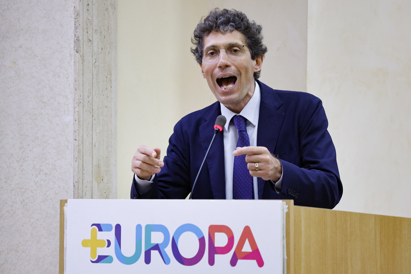 Assemblea Nazionale di +Europa