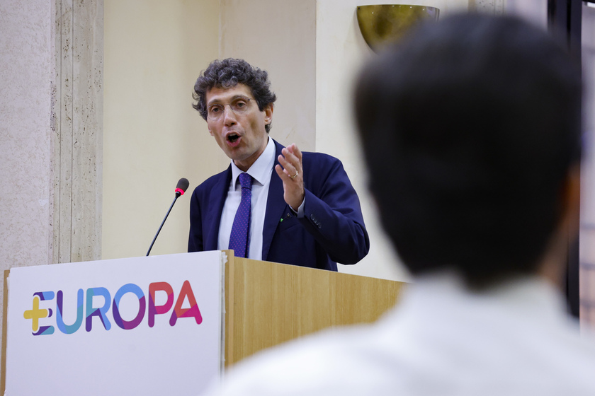 Assemblea Nazionale di +Europa