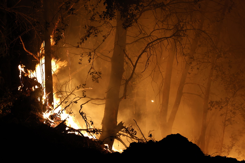 Park Fire in Butte County, California burns over 170,000 acres