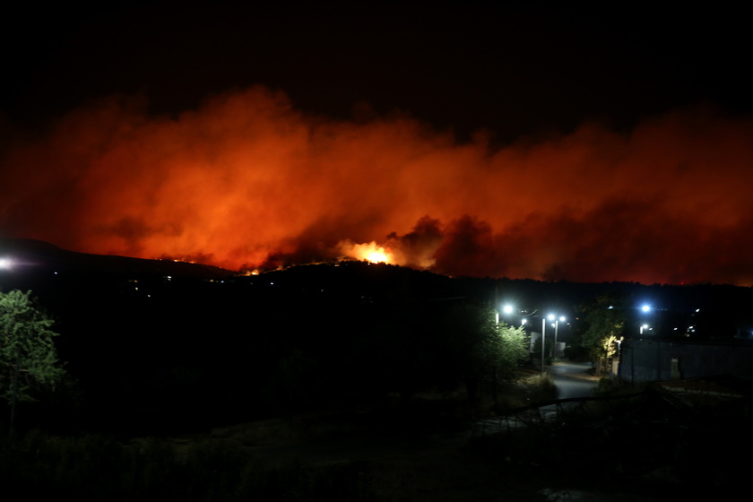 Wildfire in the area of Varnavas, Attica region