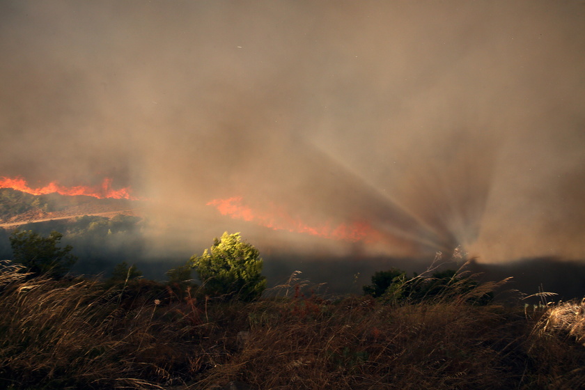 Wildfire in the area of Varnavas, Attica region