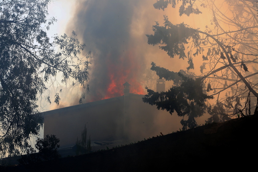 Wildfire in the area of Varnavas, Attica region