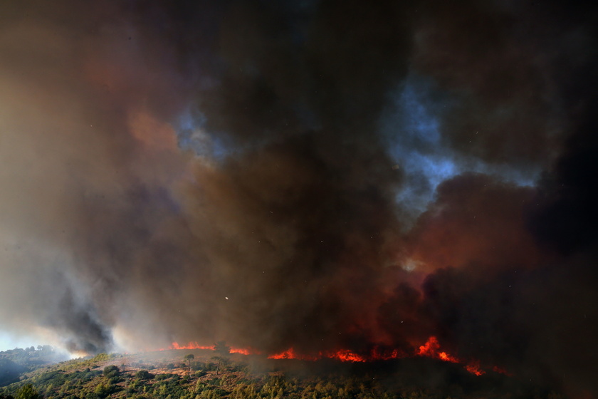 Wildfire in the area of Varnavas, Attica region