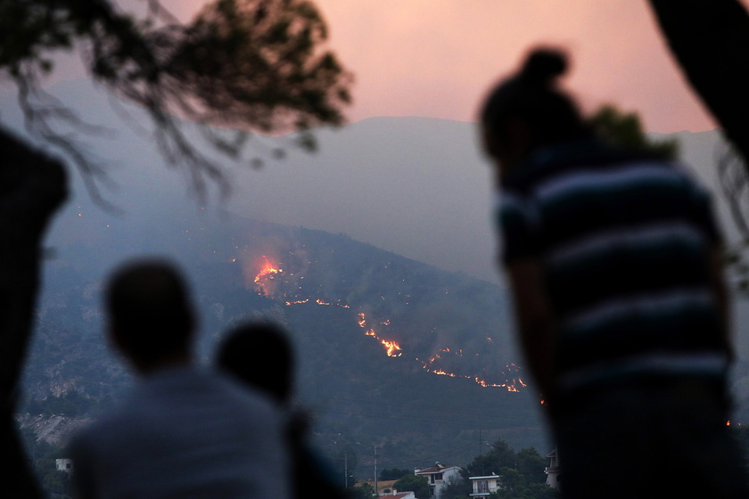 Wildfire in Greece's Attica region